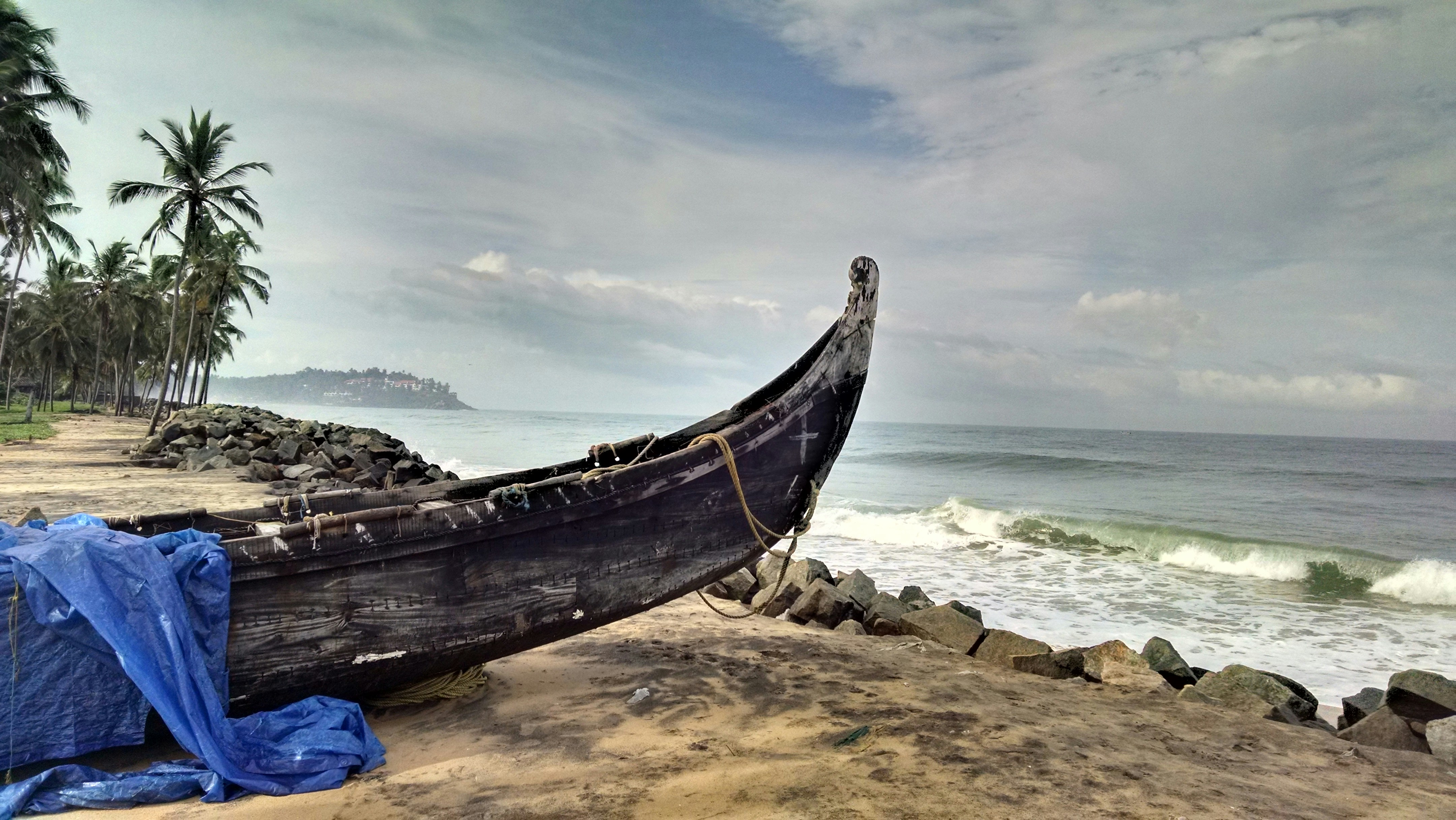 Custom Tours & Special Trips